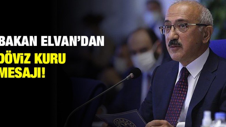 Bakan Elvan'dan döviz kuru açıklaması