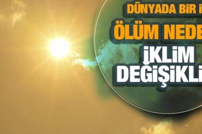 Dünyada bir ilk: Ölüm nedeni iklim değişikliği oldu