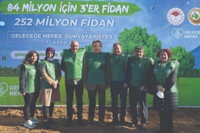 İstanbul'daki eski maden ocağı alanı ağaçlandırılıyor