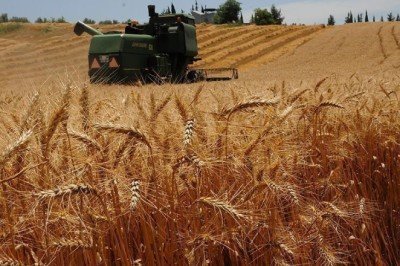 Atıl tarım arazileri ekonomiye kazandırılacak