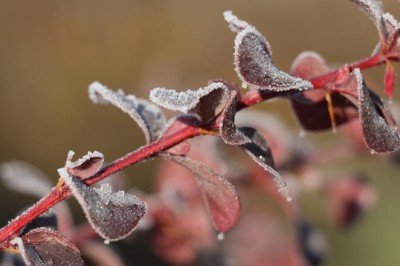 Meteoroloji'den buzlanma ve sis uyarısı