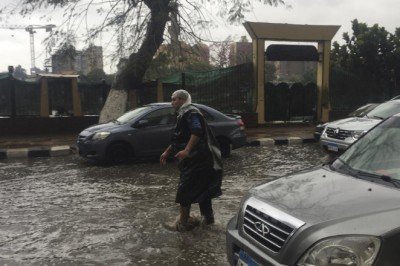 Mısır'ı akrepler sardı: 3 kişi öldü, 450 kişi yaralandı