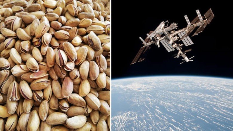 NASA astronotları uzayda "Fıstık kabuğu" buldu! Kimin attığı araştırılıyor - Haberler.com