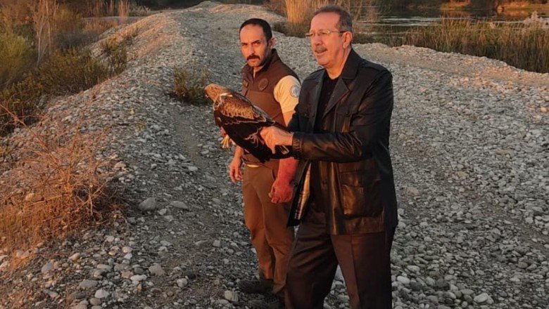 Osmaniye'de tedavi edilen kartal doğaya bırakıldı