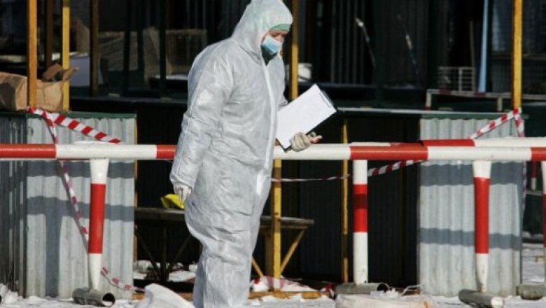 Yabani kazda kuş gribi tespit edildi!