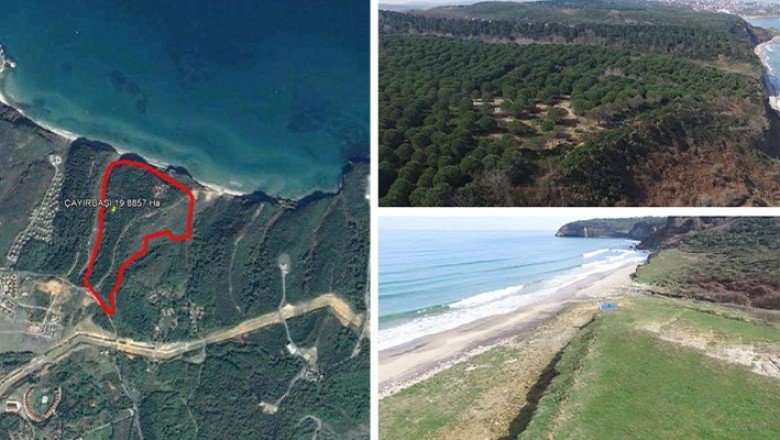 Denize sıfır araziyi yandaş kapmış