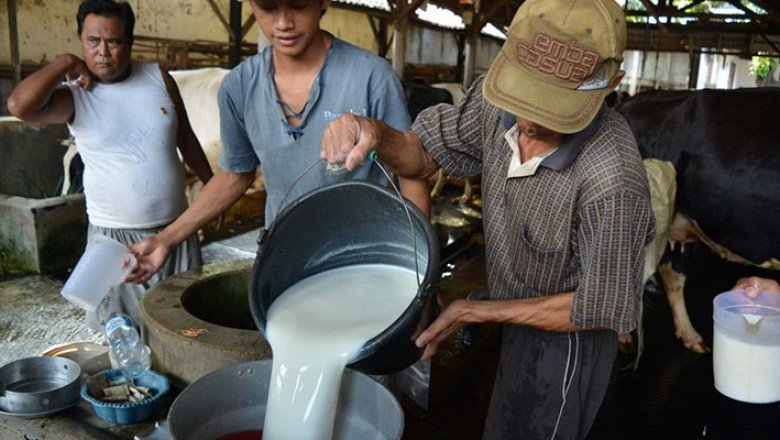 Dünya emek gündeminden