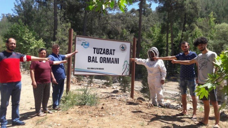 Tuzabat bal ormanları şimdilik kurtuldu