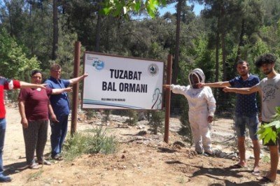 Tuzabat bal ormanları şimdilik kurtuldu
