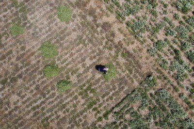 Atıl tarım arazileri ekonomiye kazandırılacak