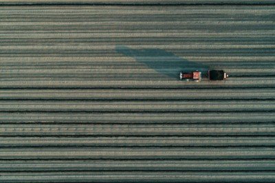 Avrupa Birliği'nin tarım üretimi geriledi