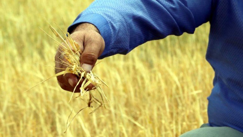 Çiftçiye destek ödemesi başladı