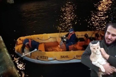 İskelenin ayağında mahsur kalan kedi kurtarıldı