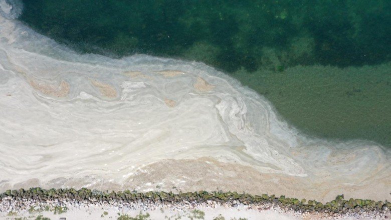 Müsilaja neden olan arıtma tesisi çamurlarından enerji üretilecek