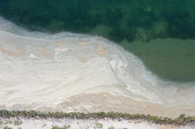 Müsilaja neden olan arıtma tesisi çamurlarından enerji üretilecek