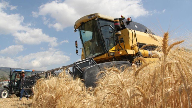 Tarım ÜFE ekimde aylık bazda yüzde 1,68 arttı