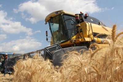 Tarım ÜFE ekimde aylık bazda yüzde 1,68 arttı