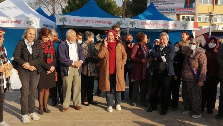 Zeytini yok edenlere kızgınız