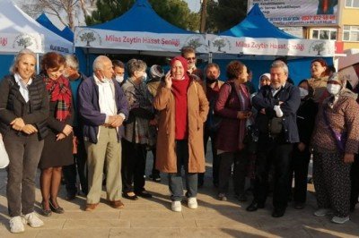 Zeytini yok edenlere kızgınız