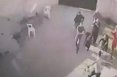 Aynı aileden 7 kişi katledilmişti: Olayla ilgili yeni gelişme