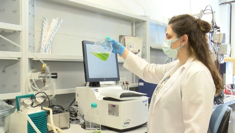 Yosundan üretilen jet yakıtı ilk kez THY uçağında kullanılacak