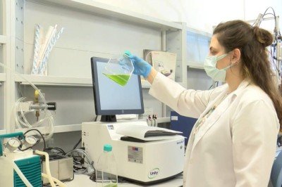 Yosundan üretilen jet yakıtı ilk kez THY uçağında kullanılacak