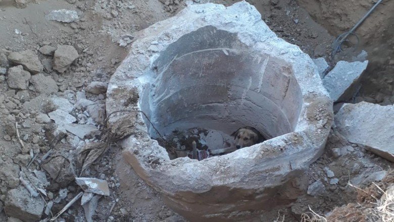 Beton büzde mahsur kalan köpeği itfaiye kurtardı