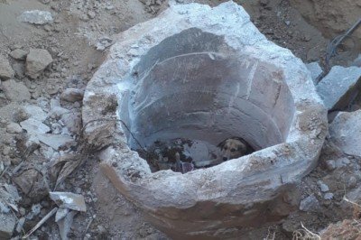 Beton büzde mahsur kalan köpeği itfaiye kurtardı