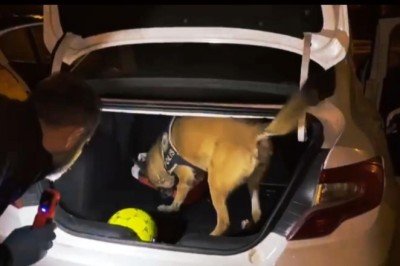 Fethiye'de cips kutusundan kokain çıktı