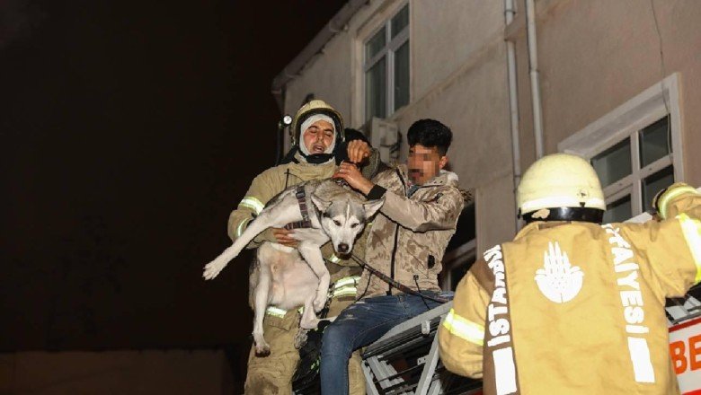 İstanbul'da bina yangını: Mahsur kalan 3 kişi ve bir köpek kurtarıldı