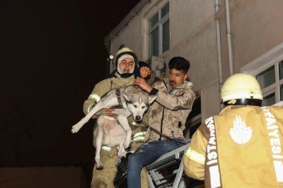 İstanbul'da bina yangını: Mahsur kalan 3 kişi ve bir köpek kurtarıldı