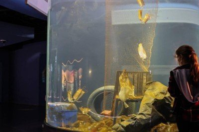 Marmara Denizi'ndeki kirlilik akvaryumda