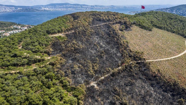 Orman yakan sanığa 12 yıl hapis