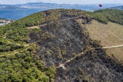 Orman yakan sanığa 12 yıl hapis