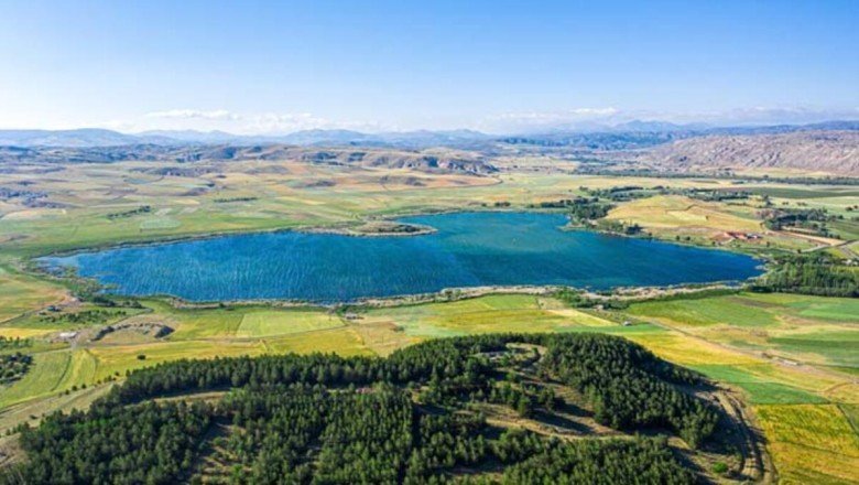 Sivas&amp;#39;taki kuş cenneti Hafik Gölü, doğaseverlerin ilgisini çekiyor