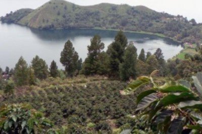 Sumatra Adası Nerede, Nasıl Gidilir? Sumatra Adası Hakkında Bilinmesi Gerekenler