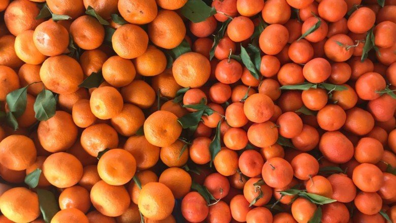 Turunçgilde 73 günde 152 milyon dolarlık ihracat