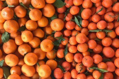 Turunçgilde 73 günde 152 milyon dolarlık ihracat