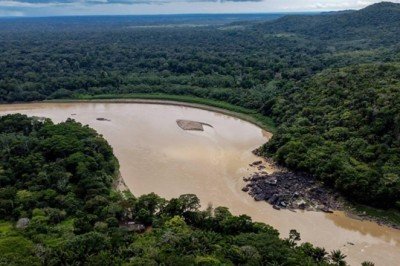 Amazonlar'da ormansızlaşma son yılların en yüksek seviyesinde