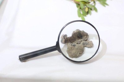 Fas'ta 'dünyanın en eski ziynet eşyaları' sergileniyor