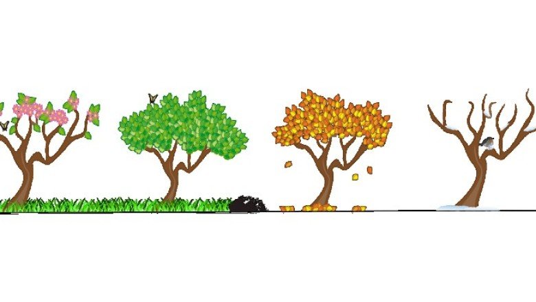 Hangi mevsimin insanısınız?