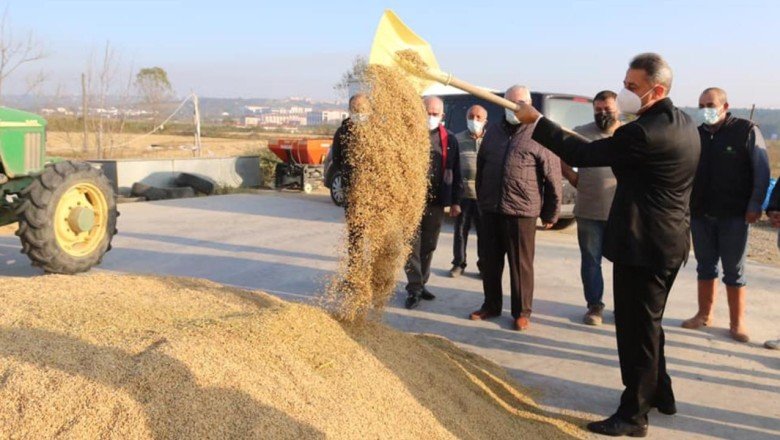 Sinop çeltik üretimiyle Türkiyede 6'ncı sırada