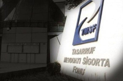 TMSF iki şirketi satışa çıkardı