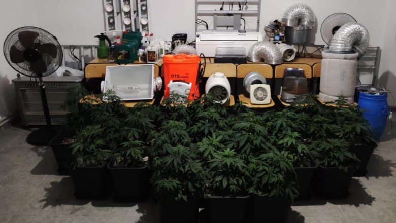 Balıkesir'de villada Hint keneviri yetiştiren şüpheli tutuklandı