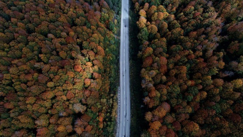 Ormanlara bitişik alanlarda yapı inşa edilemeyecek