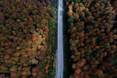 Ormanlara bitişik alanlarda yapı inşa edilemeyecek