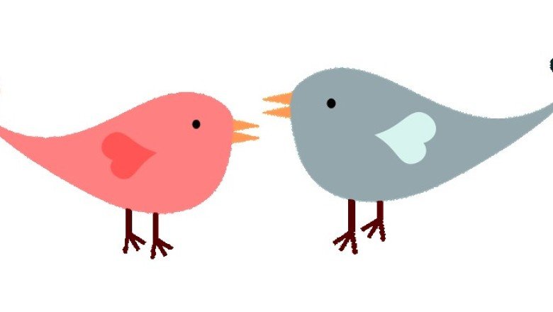 Yuvayı dişi kuş mu yapar?