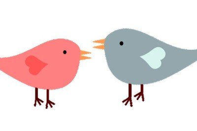 Yuvayı dişi kuş mu yapar?