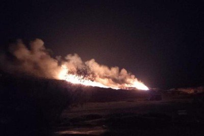 Bodrum'da otluk ve makilik alanda yangın: 2 dönüm alan kül oldu