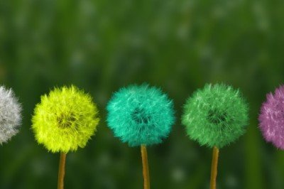 Hiç manipülasyona maruz kaldınız mı?